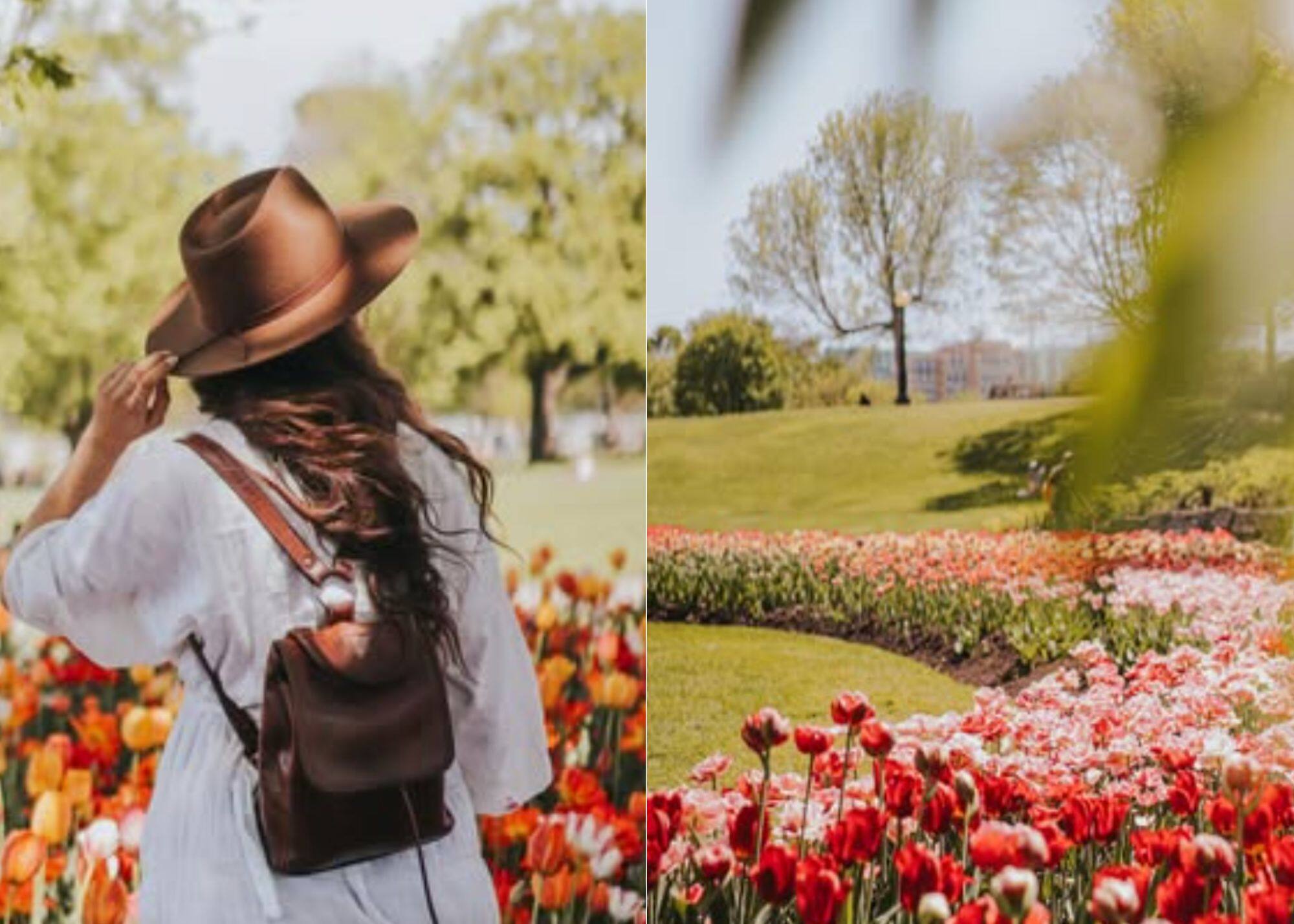 Célébrez le printemps au festival de tulipes!