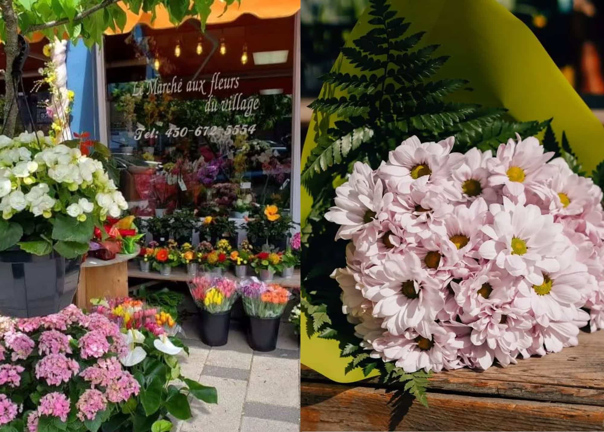 Cette influenceuse achète un commerce à St-Lambert