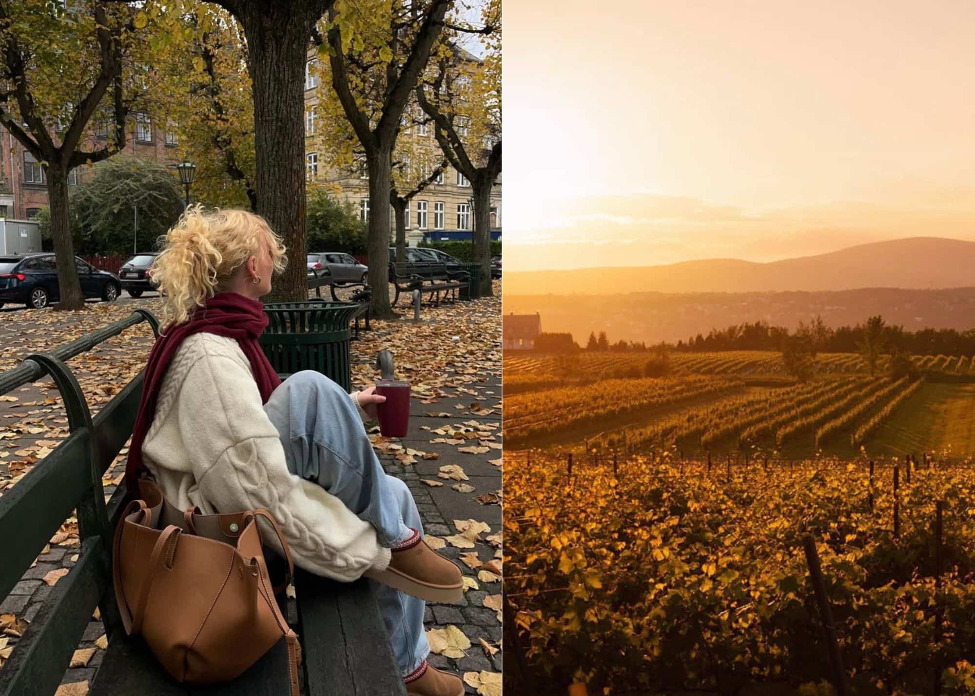 Image principale de l'article Où et quand voir les couleurs d’automne