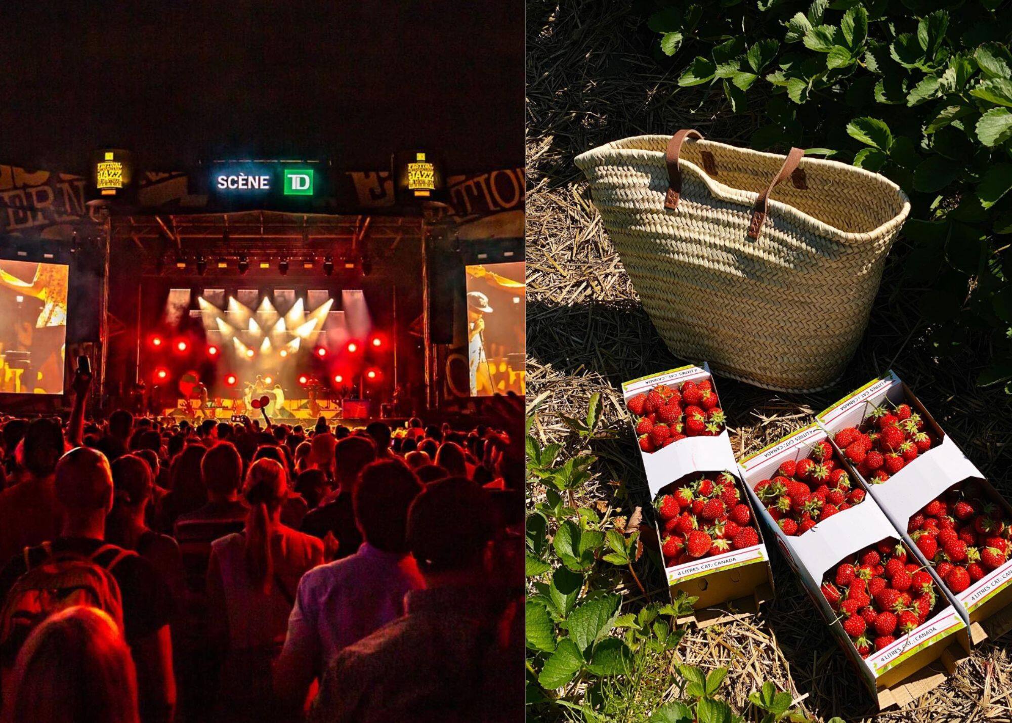 25 activités à découvrir en juillet