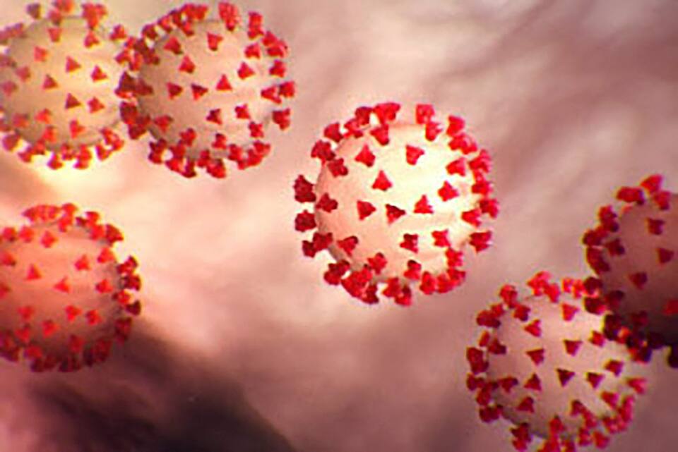 Metformin Moins Cher