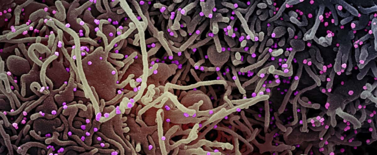 Omicron: des symptômes étonnamment très différents de ceux du variant Delta