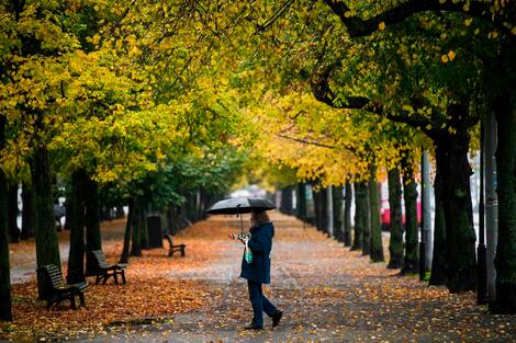 Suecia-salud-virus-vida cotidiana Suecia-salud-virus-vida cotidiana