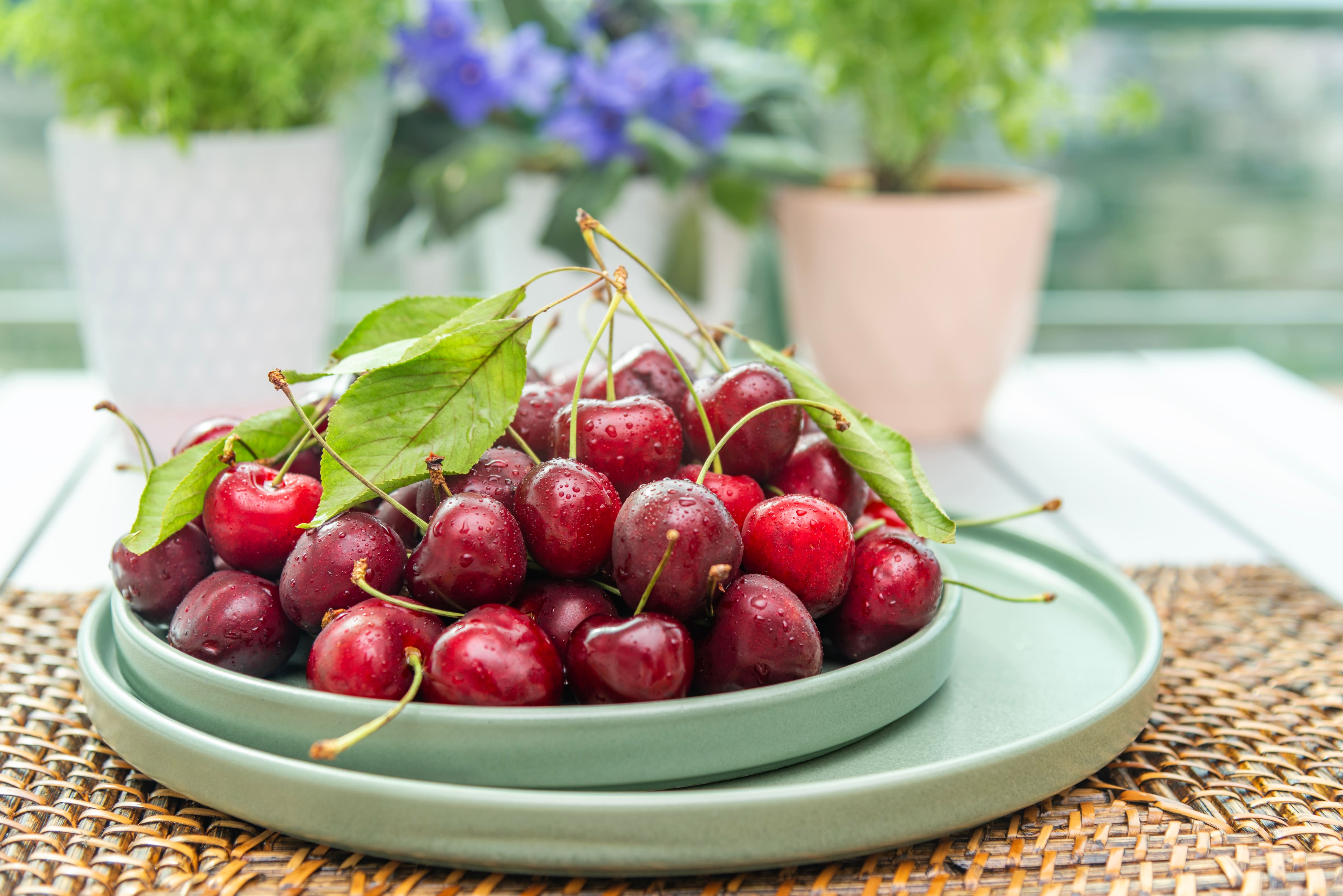 Image principale de l'article Il faut toujours avoir des cerises sous la main