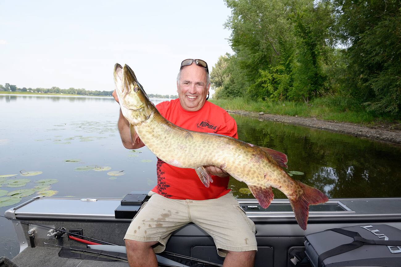Le top 15 des meilleurs leurres pour le maskinongé | JDM