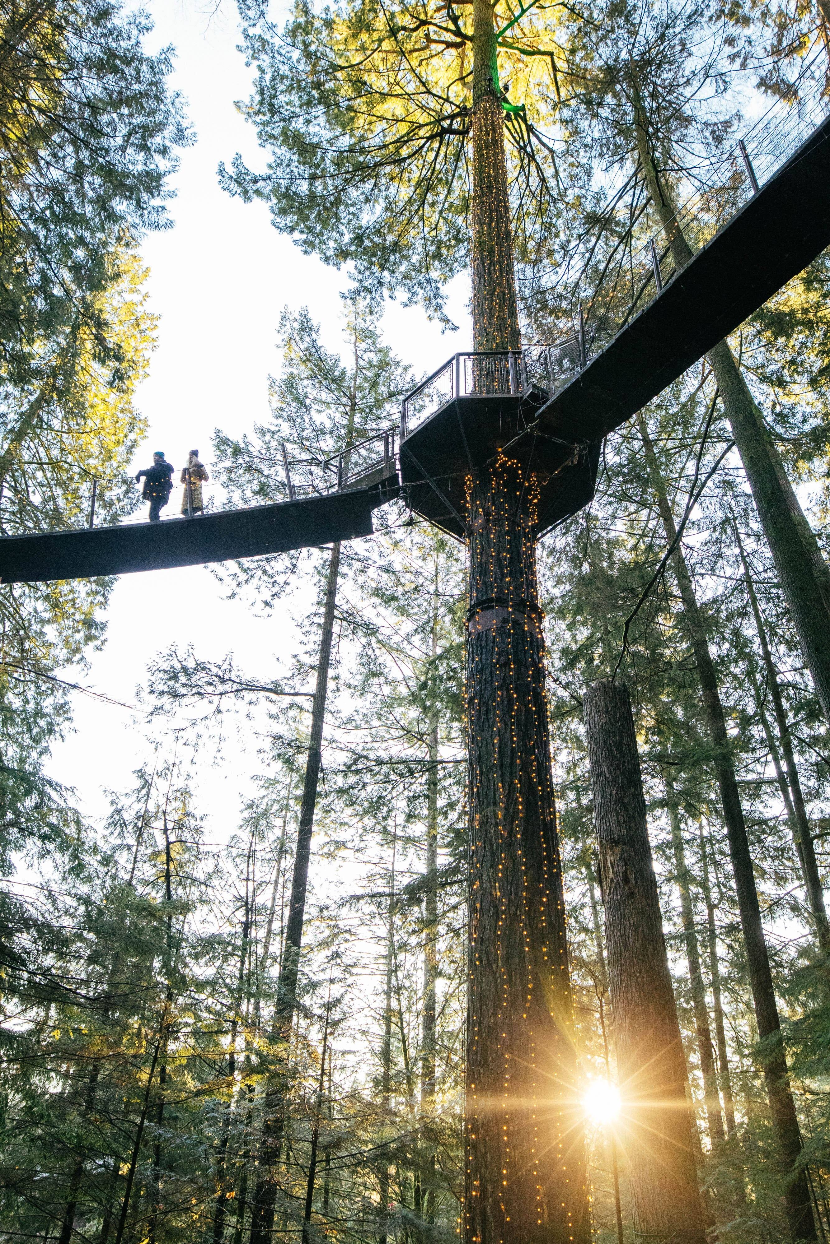 Vancouver: 12 choses &agrave; faire entre mer et montagnes