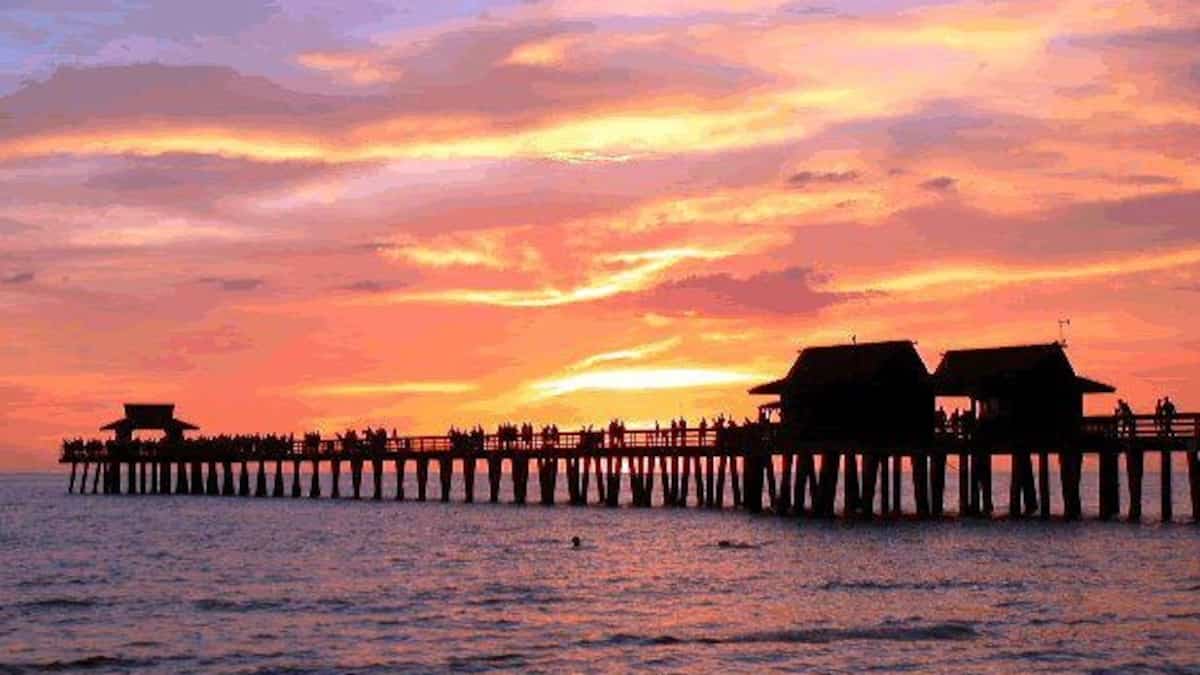 Elle fait l’amour en public et se jette à l’eau pour échapper aux policiers