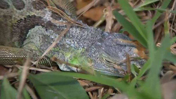 3 nouvelles insolites qui font le tour du web