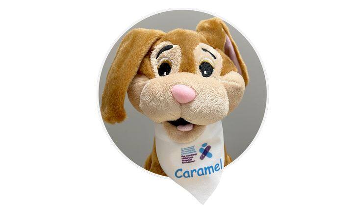 Un chiot en peluche de Montr&eacute;al dans l&rsquo;espace