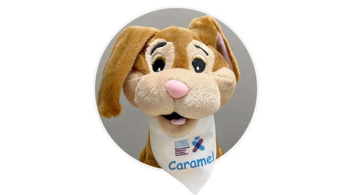 Un chiot en peluche de Montréal dans l’espace