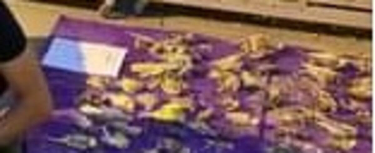 Cadaveri mummificati: più di 200 uccelli esotici sono stati trovati morti in una casa Cadaveri mummificati: più di 200 uccelli esotici sono stati trovati morti in una casa