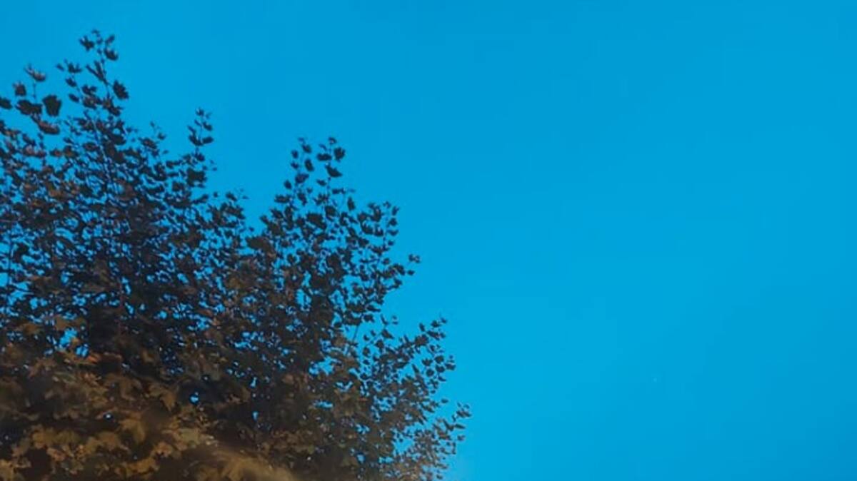 Ils font des allers-retours sur les passages piétons pour dénoncer le stationnement anarchique