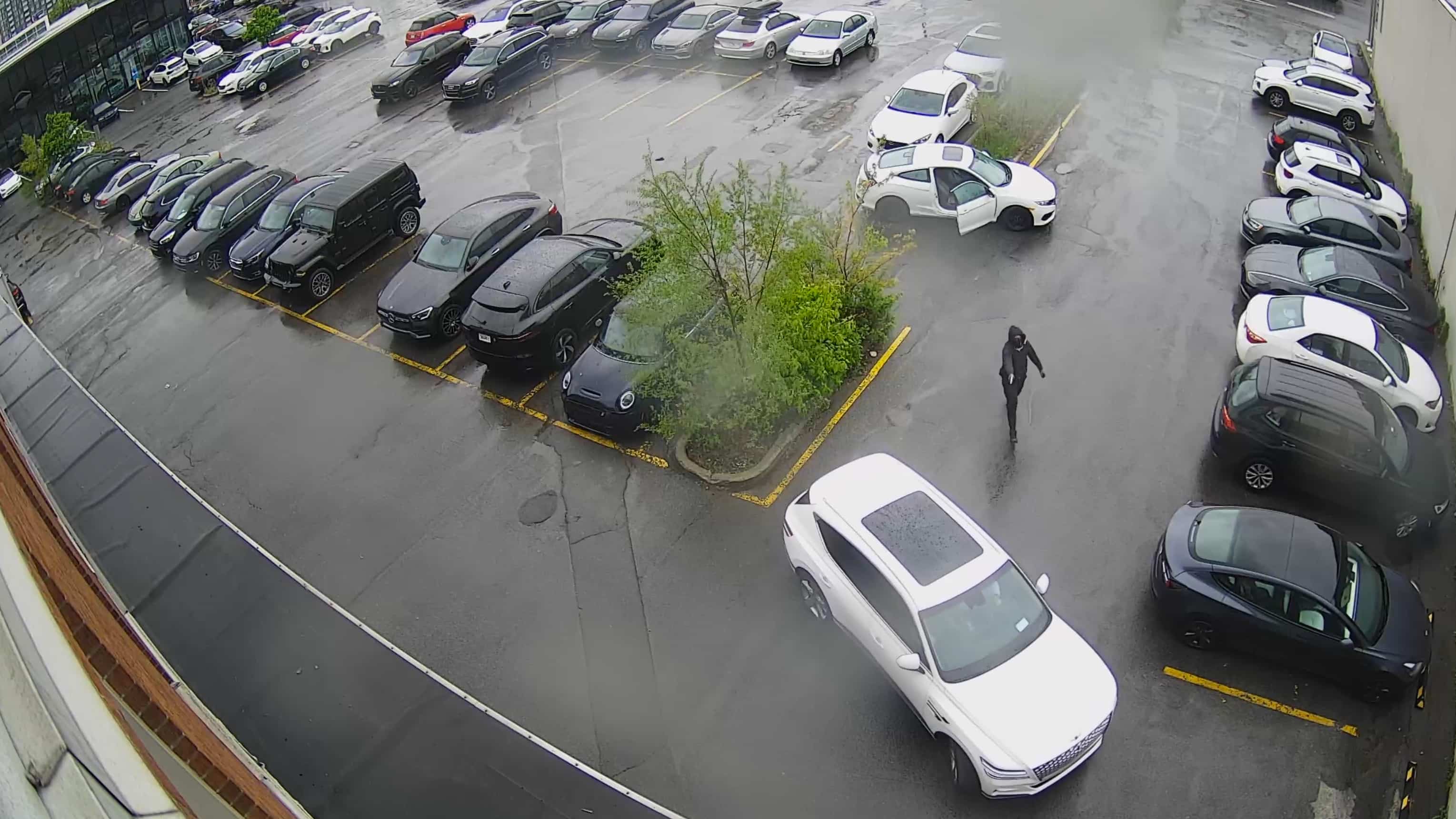 [EN VID&Eacute;O] La belle-fille d&rsquo;un mafieux abattue par erreur