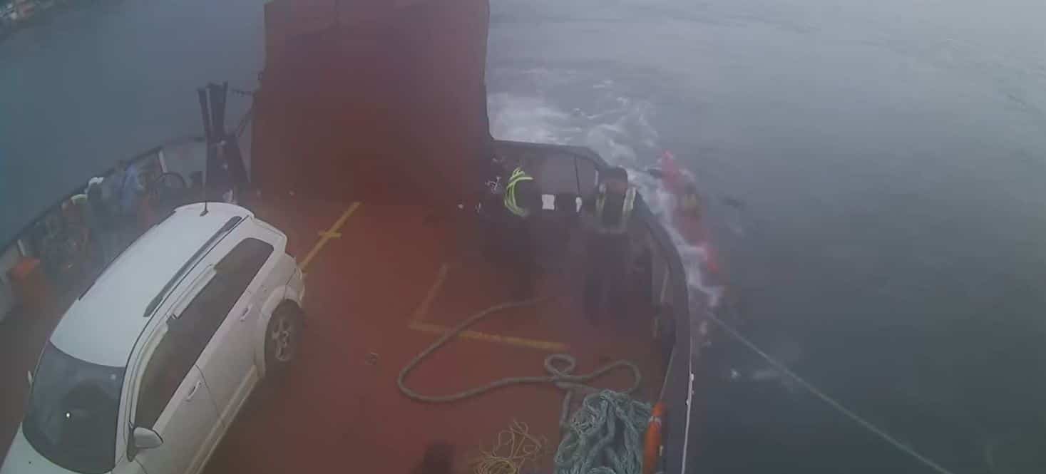 EN VID&Eacute;O | Un kayakiste s&rsquo;approche de l&rsquo;h&eacute;lice d&rsquo;un bateau dans le fleuve Saint-Laurent