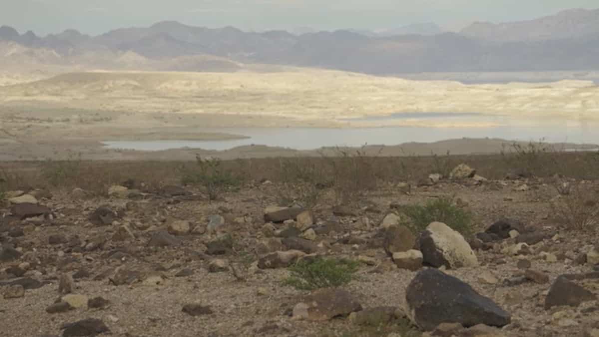 EN VIDÉO | 41,6°C attendus: une vague de chaleur record s'abat sur l'ouest des États-Unis