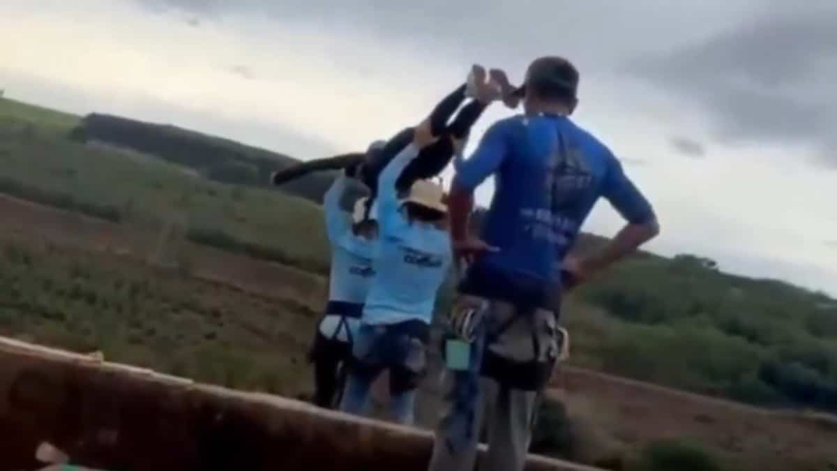 Young woman who died during a bungee jump in Brazil would have survived moments after the fall, according to a nurse Young woman who died during a bungee jump in Brazil would have survived moments after the fall, according to a nurse