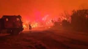 Spain: more than 12,000 hectares burned by fire in the northeast