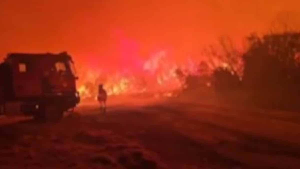 Spain: more than 12,000 hectares burned by fire in the northeast Spain: more than 12,000 hectares burned by fire in the northeast