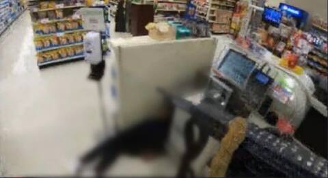 Bufalo avı: Mümkün