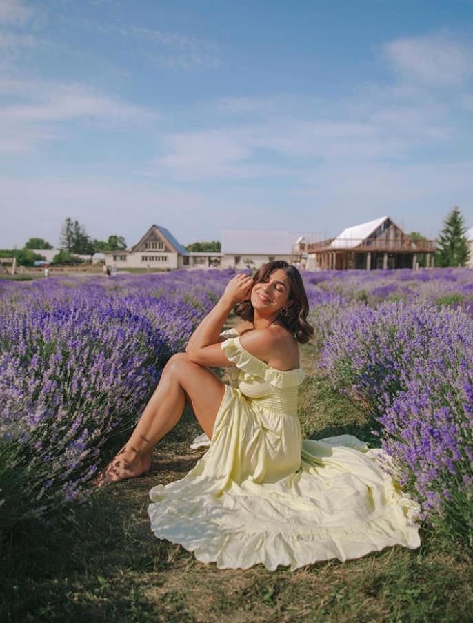 22 photos des champs en fleur chez Maison Lavande