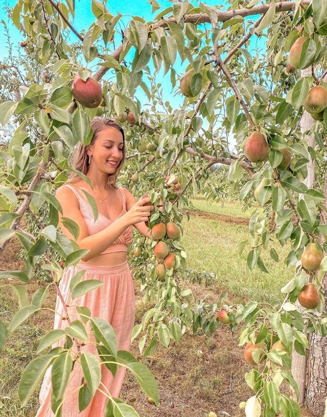 5 vergers où cueillir des poires au Québec