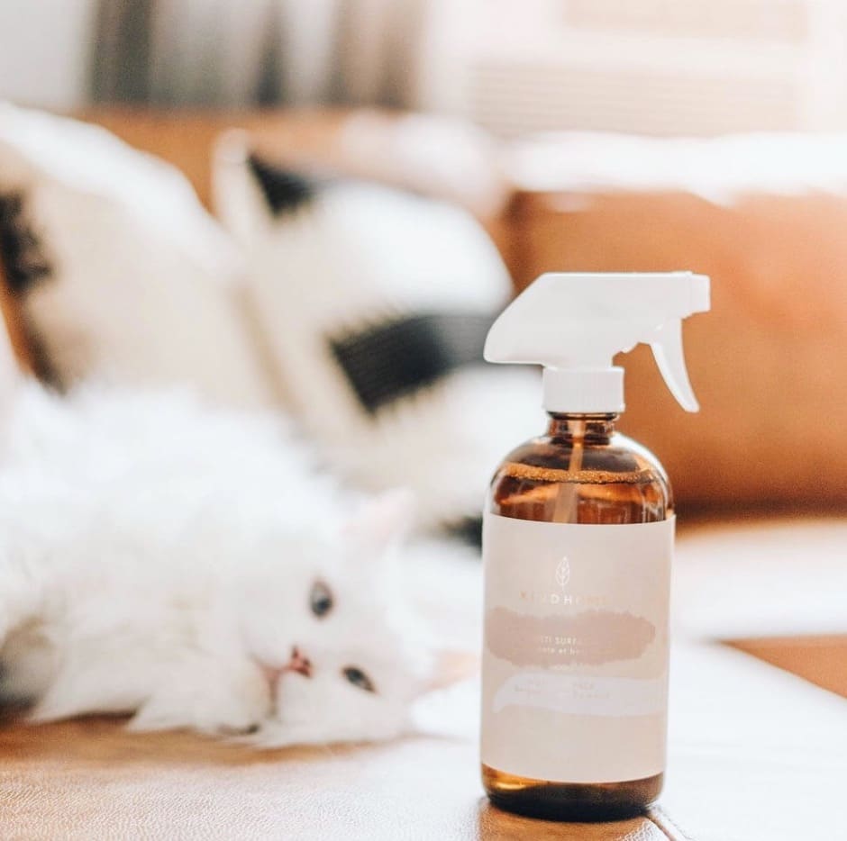 Un festival 100% végane aura lieu en novembre