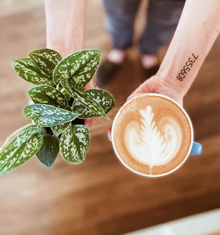 Ce café offre une citrouille à l’achat d’un café