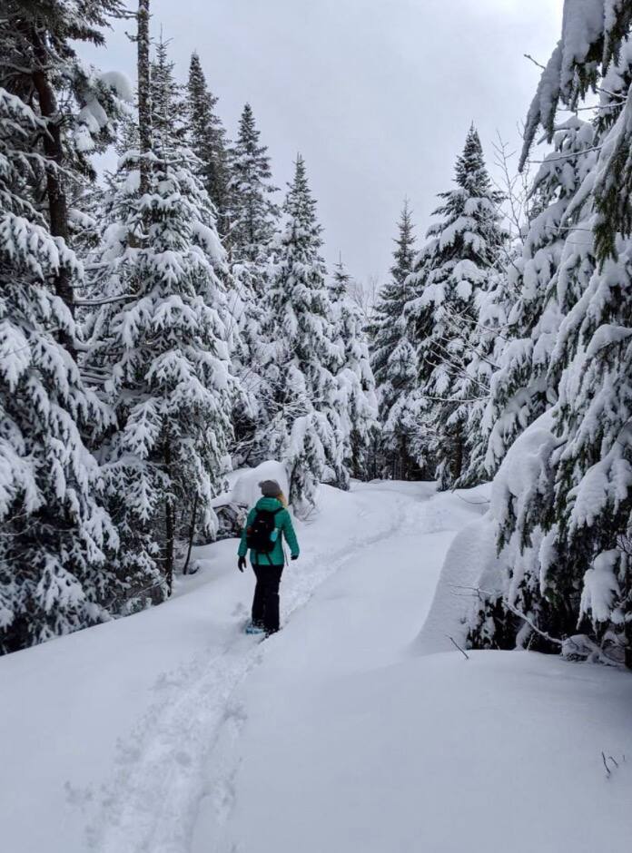 7 beaux sentiers de raquette dans les Laurentides | 24 heures
