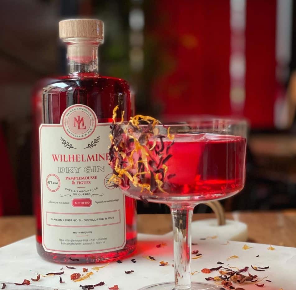 Un nouveau gin québécois au pamplemousse & figue