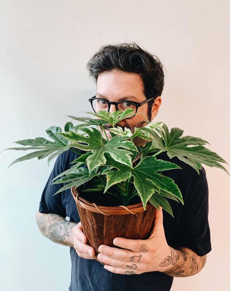 Plantzy annonce sa fermeture officielle