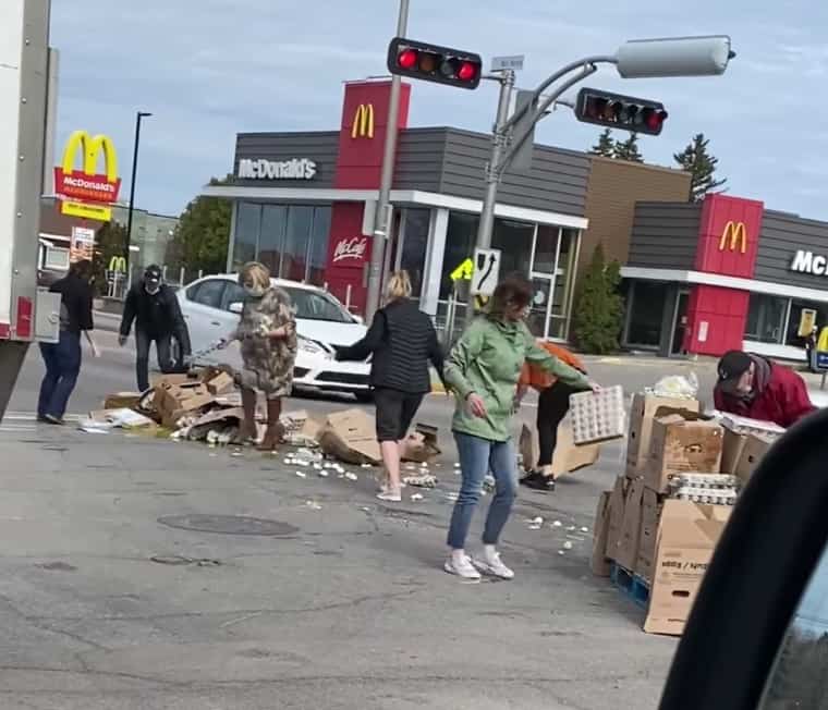 Des œufs partout sur la route à Jonquière