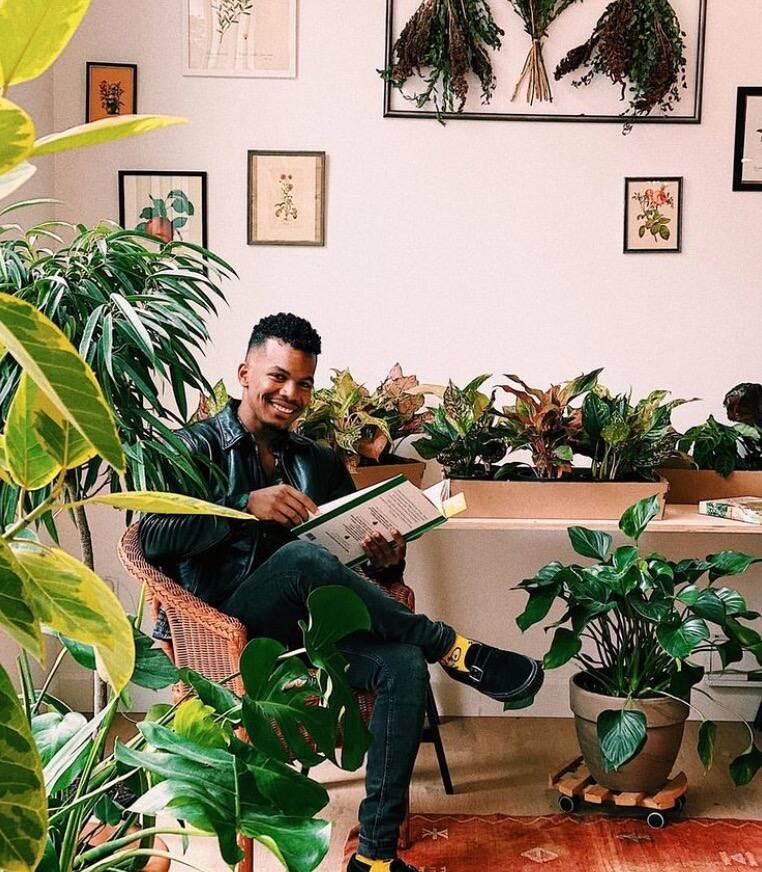 8 boutiques où trouver de belles plantes