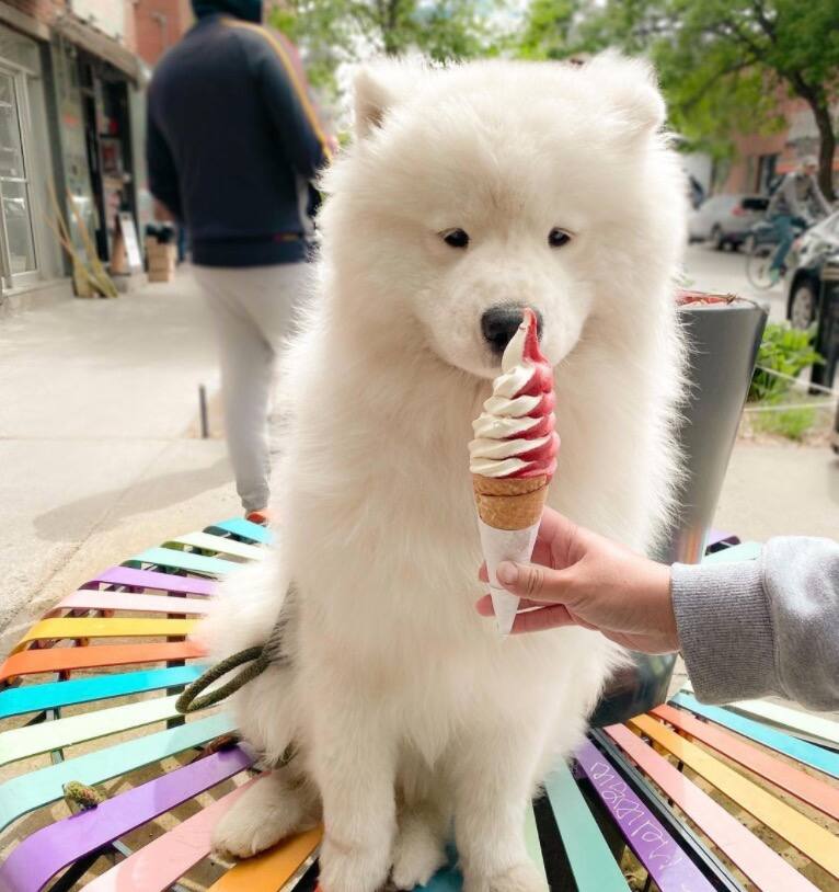 Voici quand le Kem Coba ferme pour la saison