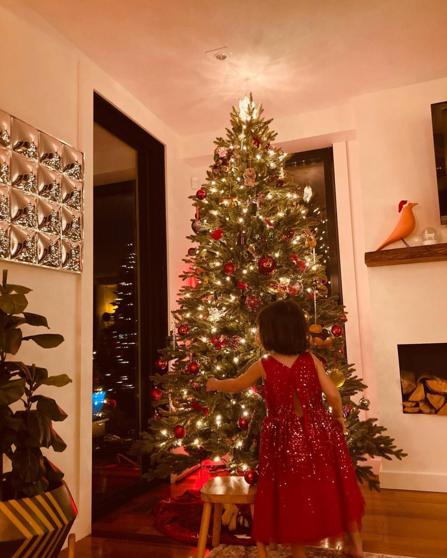 Les plus beaux sapins de Noël des vedettes d'ici