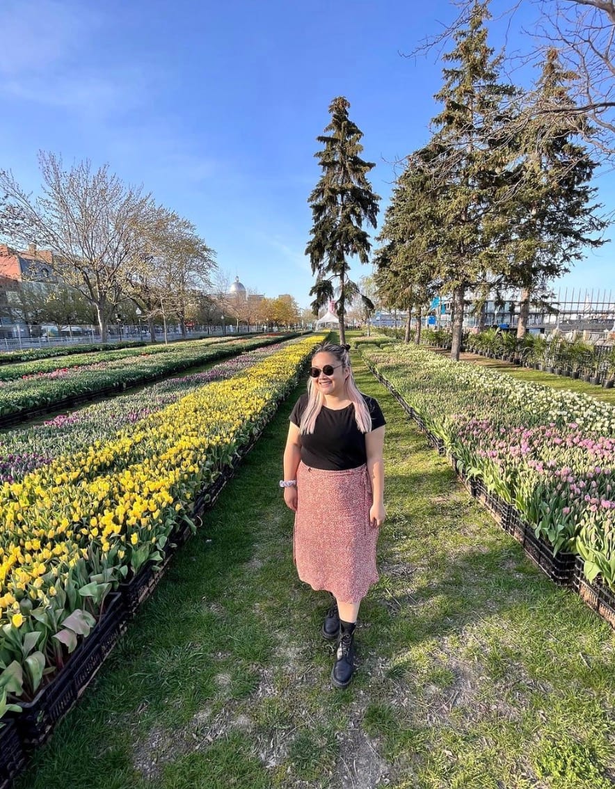 Cueillette de tulipes dans le Vieux-Port de MTL