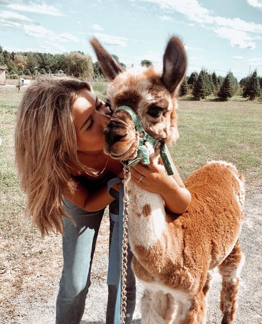 5 vergers «pas plates» où faire la cueillette