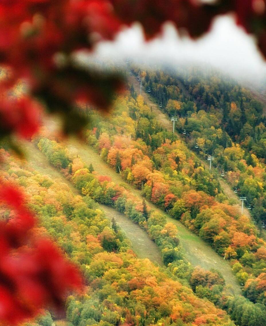 Voici 15 Activites A Part Cueillir Des Pommes A Faire A Quebec Cet Automne Jdq