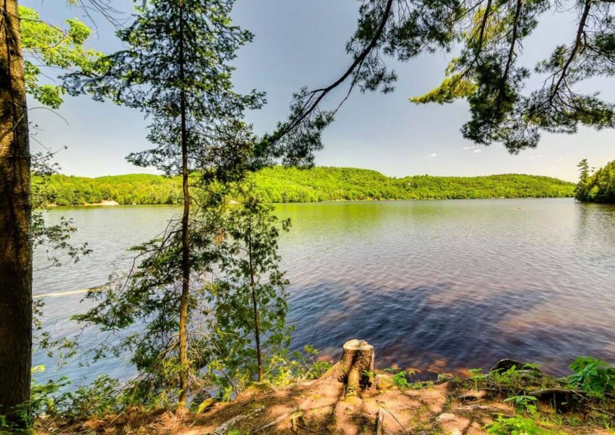 formes octogonales dans la vraie vie