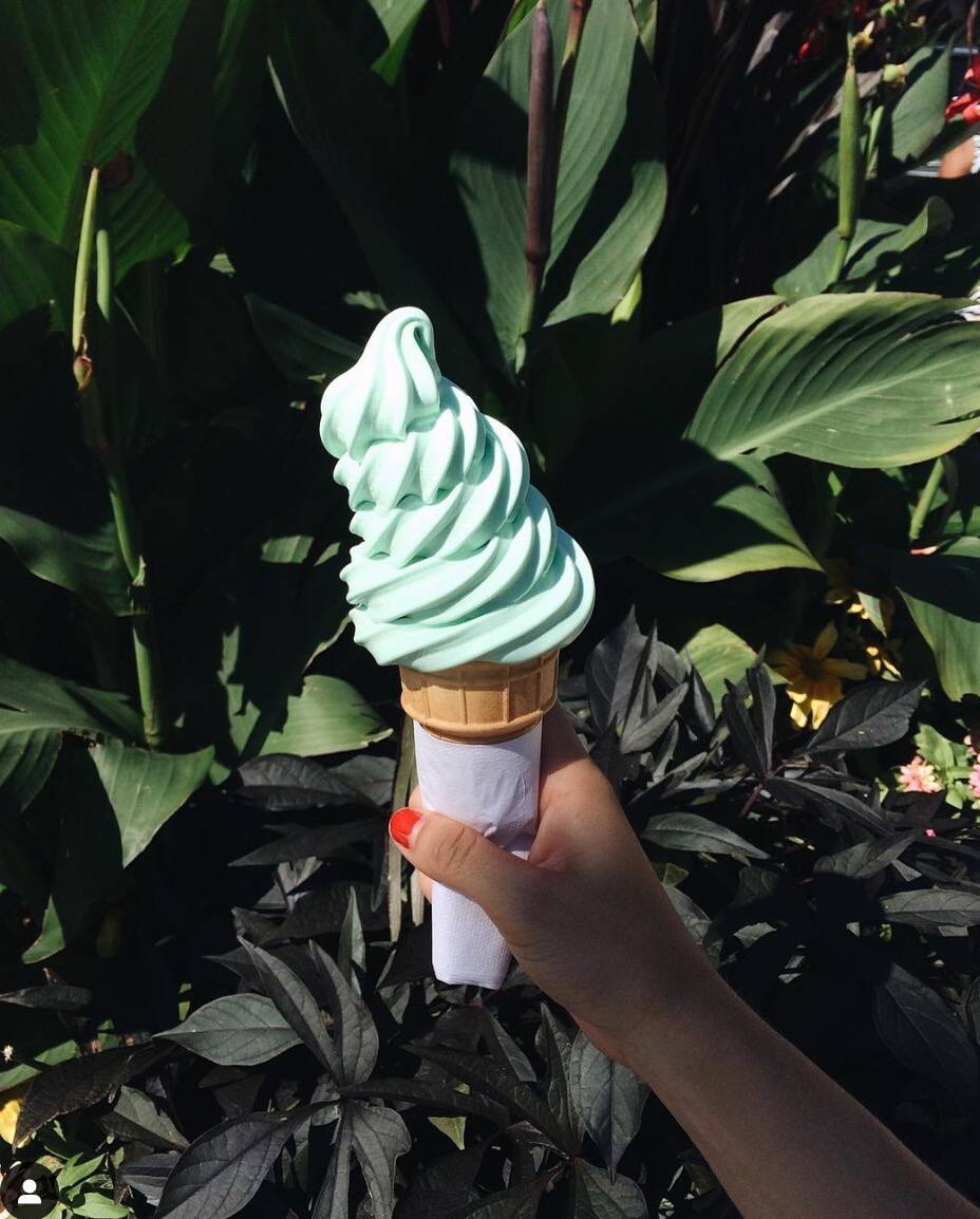 Image principale de l'article Où trouver de la crème glacée végane à Montréal?