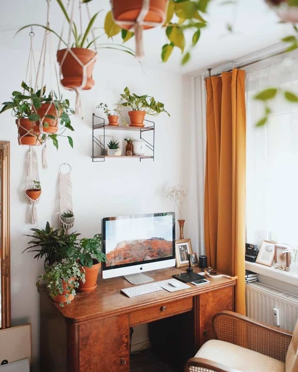 Créez une suspension pour vos plantes