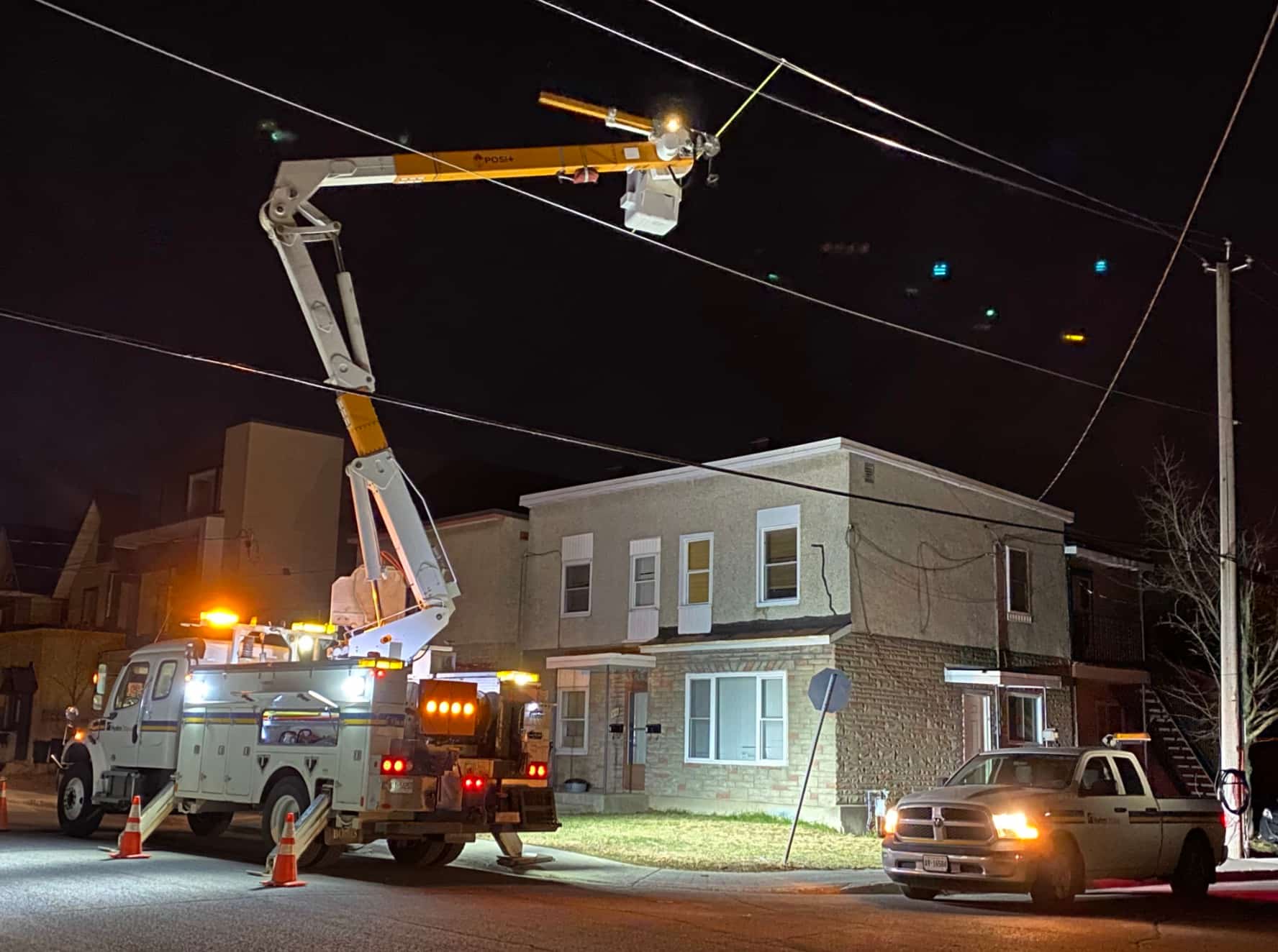 Une dinde sauvage plonge 1400 ménages dans le noir