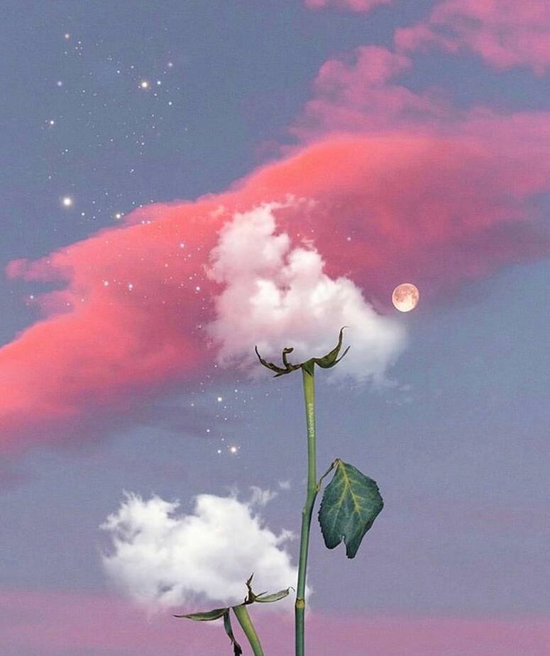 Image principale de l'article La super lune des fleurs nous rendra sensibles