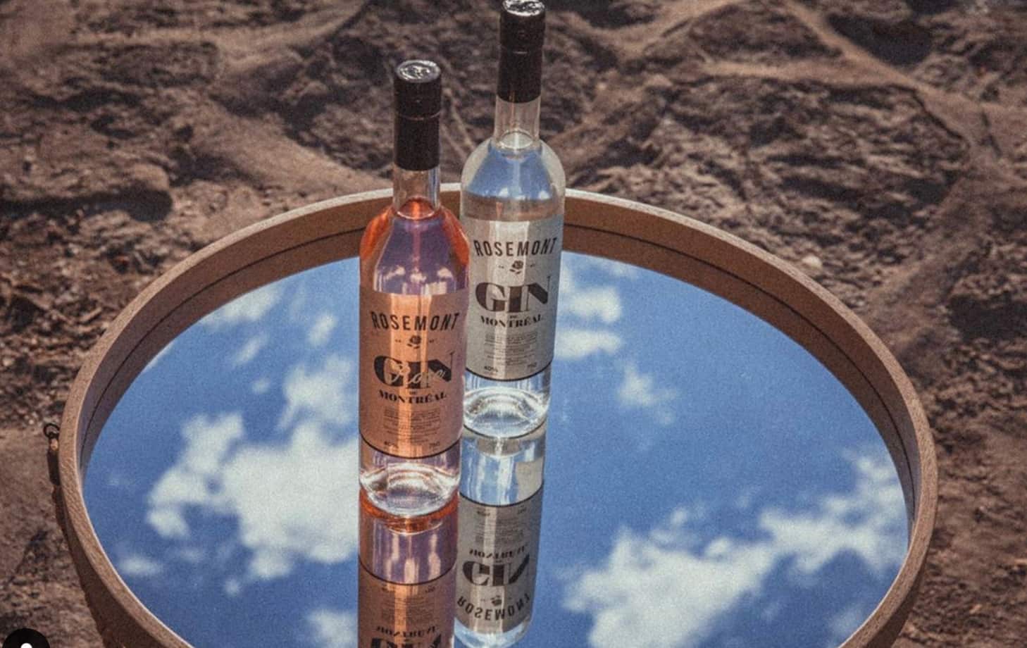 Un gin rose québécois à la rhubarbe et hibiscus