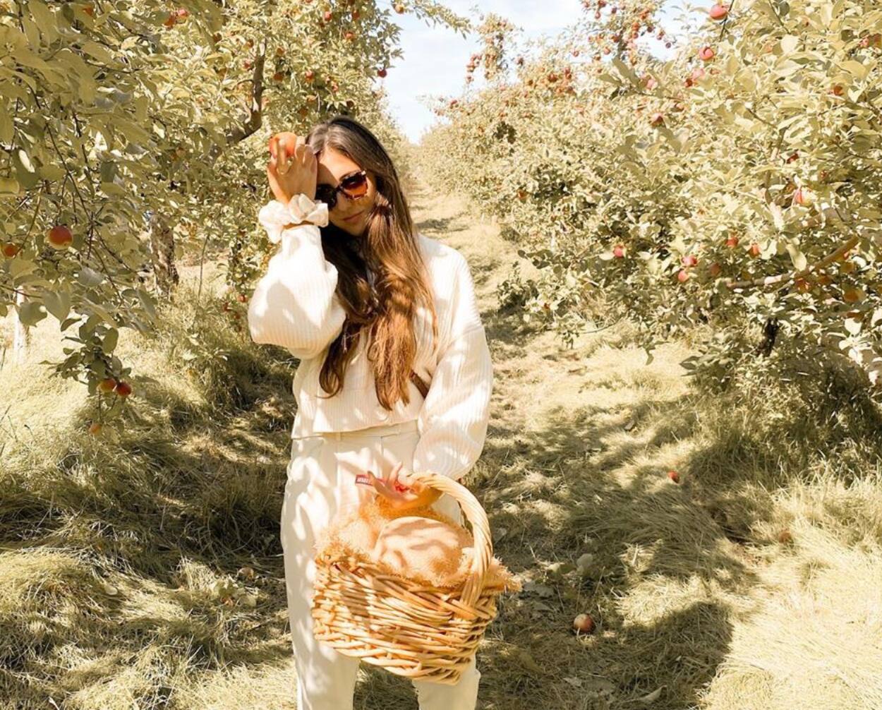 5 vergers où faire la cueillette de pommes