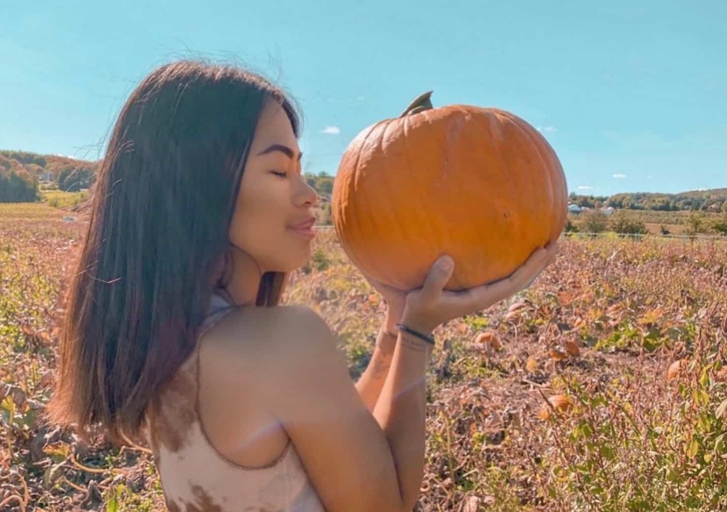 Où aller cueillir vos citrouilles et courges