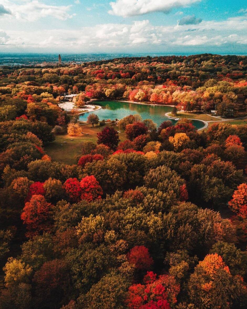 30 photos WOW de Montréal l'automne