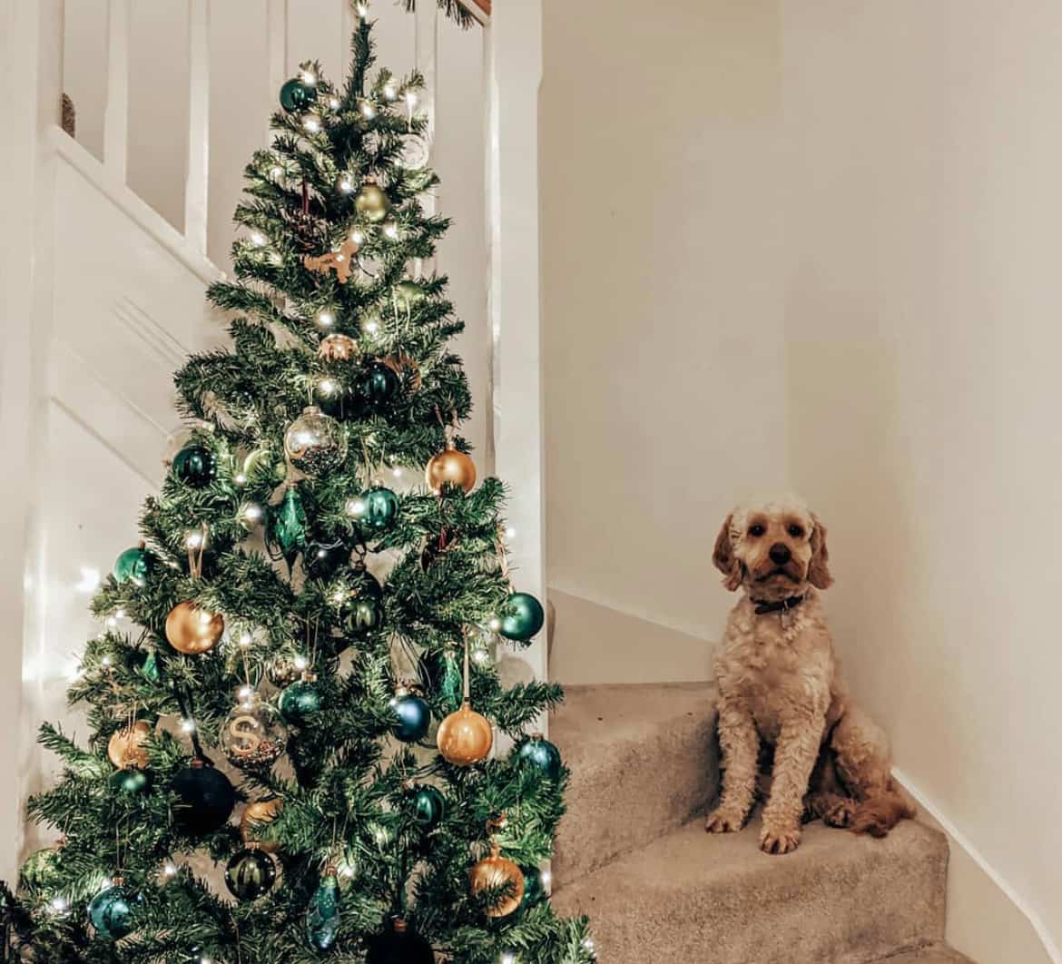 Le Demi Sapin Une Solution Ingenieuse Pour Les Petits Espaces Clin D œil