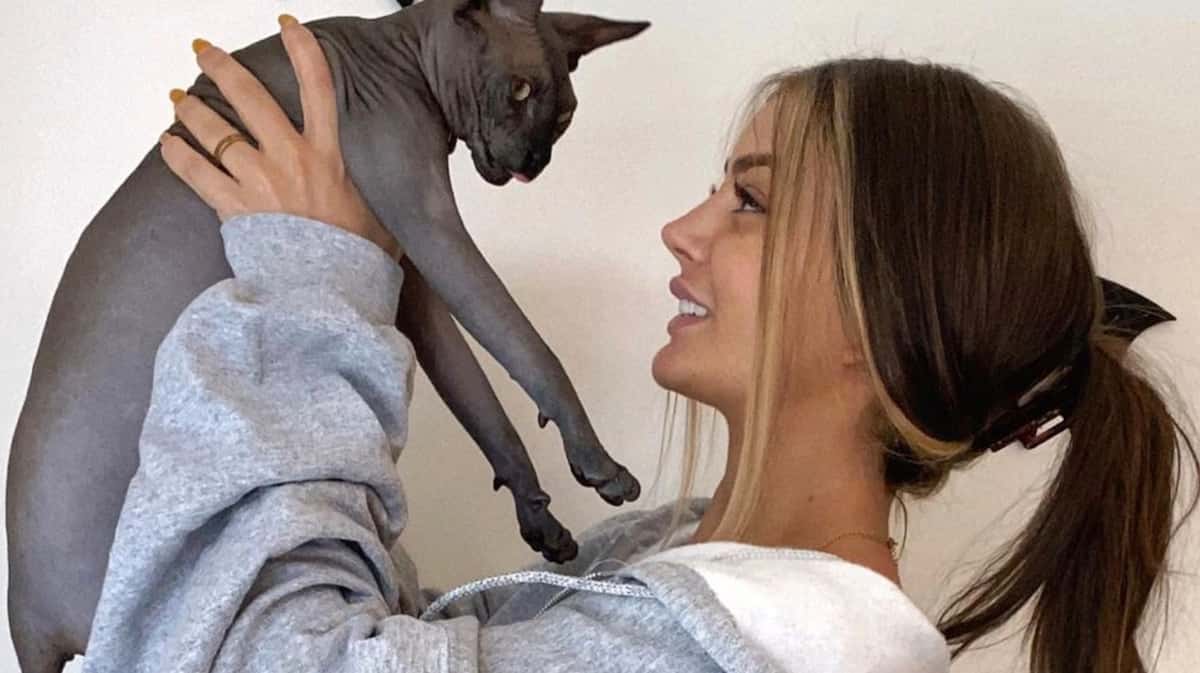 10 Facons Dont Votre Chat Vous Dit Je T Aime Billie 10 Facons Dont Votre Chat Vous Dit Je T Aime Billie