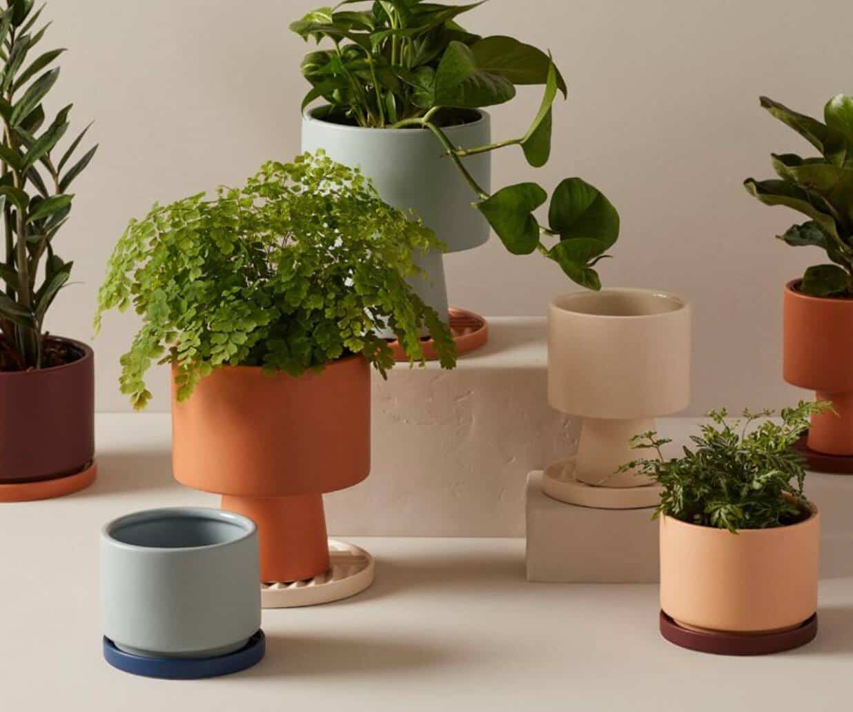 Une magnifique collection de cache-pots abordables