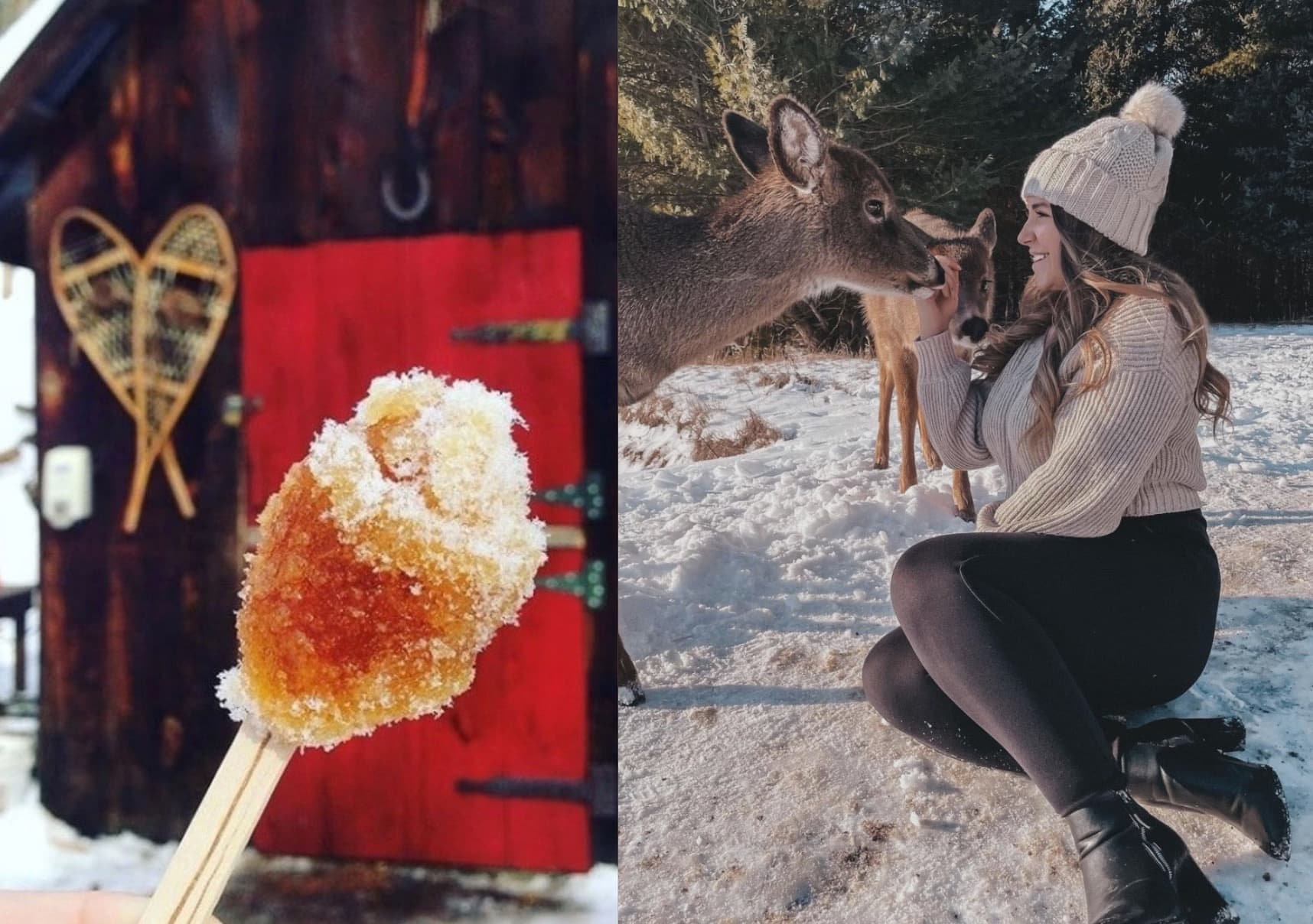 Mangez de la tire d’érable au Parc Oméga 